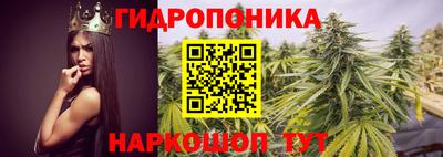 дмт Рязань