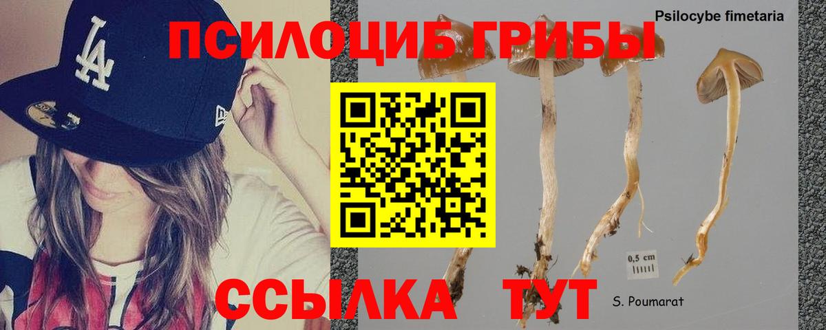 Псилоцибиновые грибы ЛСД Ростов-на-Дону